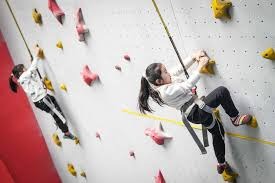 强悍的斗士 火腿近7场拿6胜暂保洋联领先｜日职