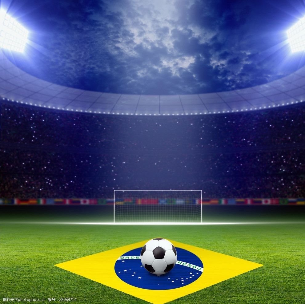 5号种子的 5号种子的